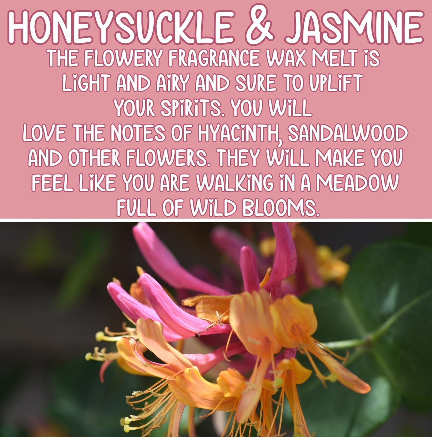Honeysuckle & Jasmine Hand Poured Soy Wax Melt
